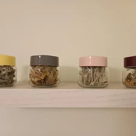 Tirana's Hidden Wonder * Tirana