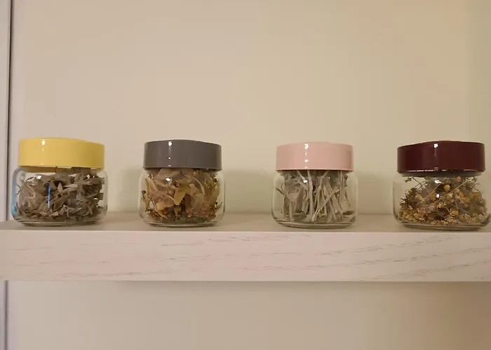 Tirana's Hidden Wonder * Tirana